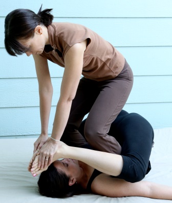 stretch butterfly crop blue